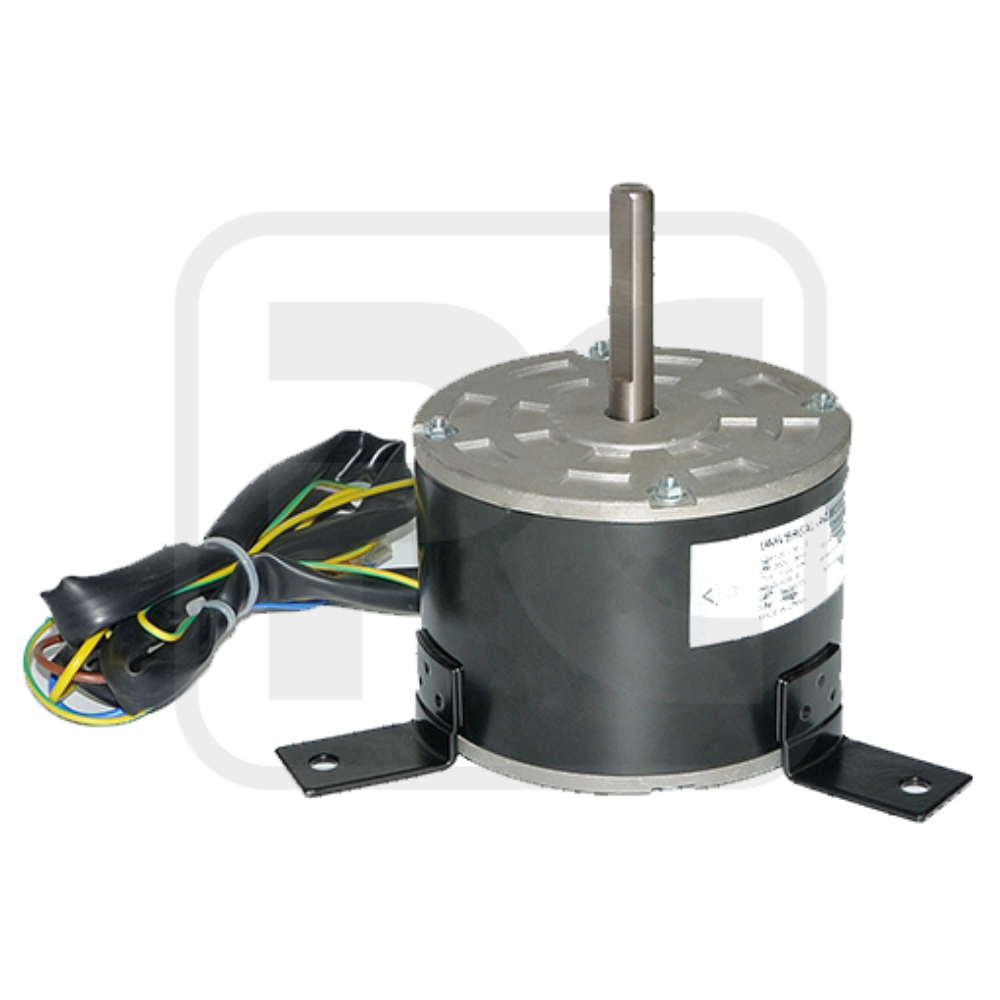 1600RPM 3 Speed Electric Motor Customized Indoor AC Fan Motor Double Shaft